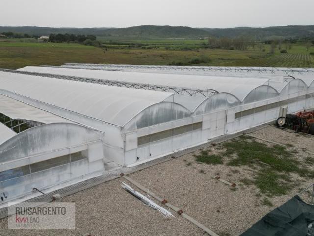 Aluguer de Longa duração em zona de Regadio com cerca de 20ha no Ladoeiro