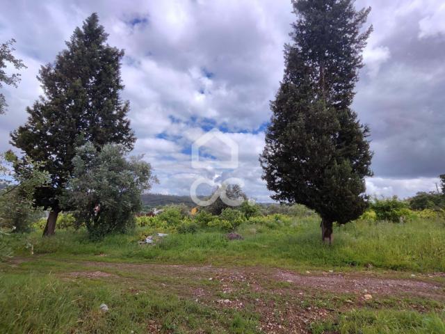 Alvaiázere Leiria 76460277