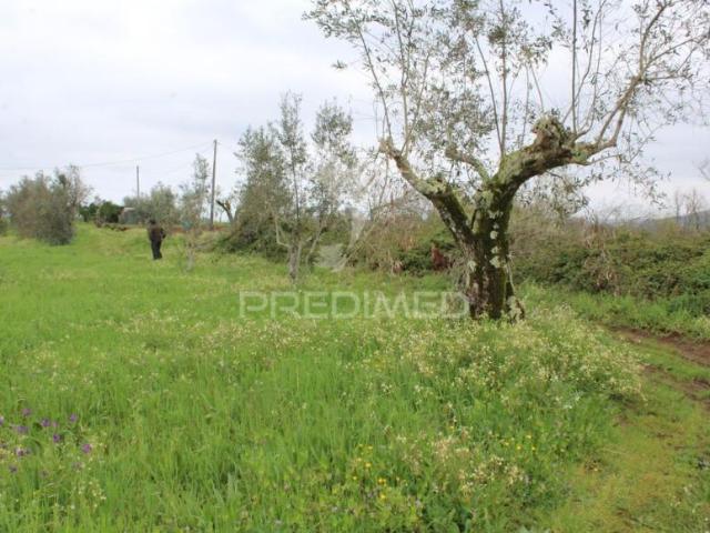 Alvaiázere Leiria 102305932