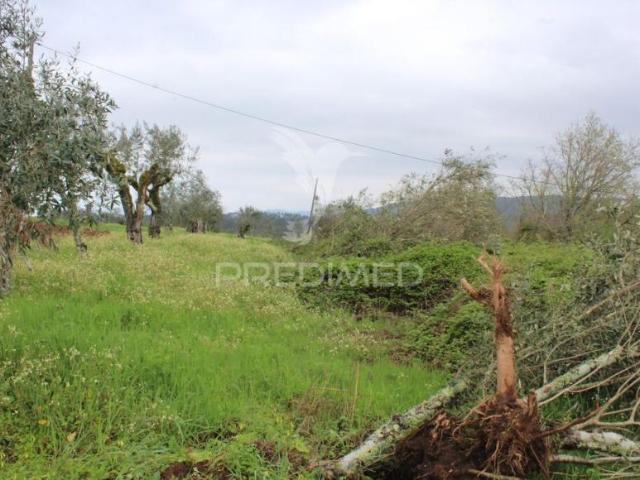 Alvaiázere Leiria 102305937