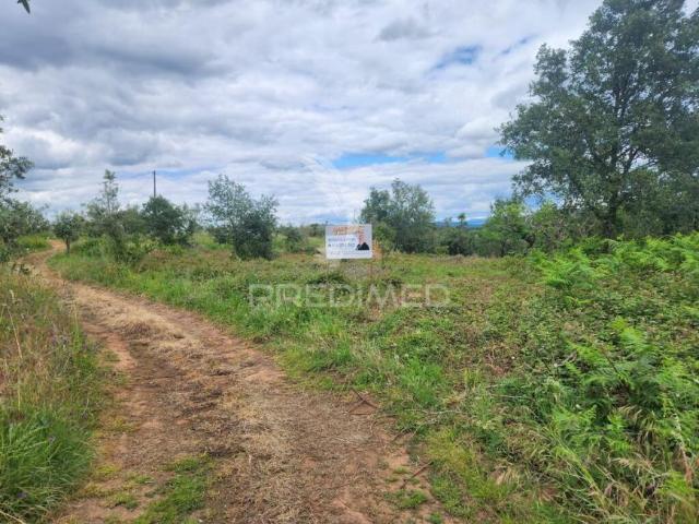 Alvaiázere Leiria 102305940