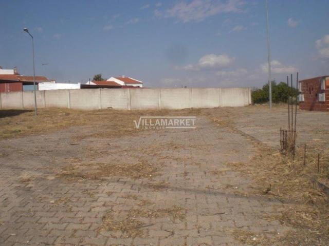 Alvito Beja 94995375
