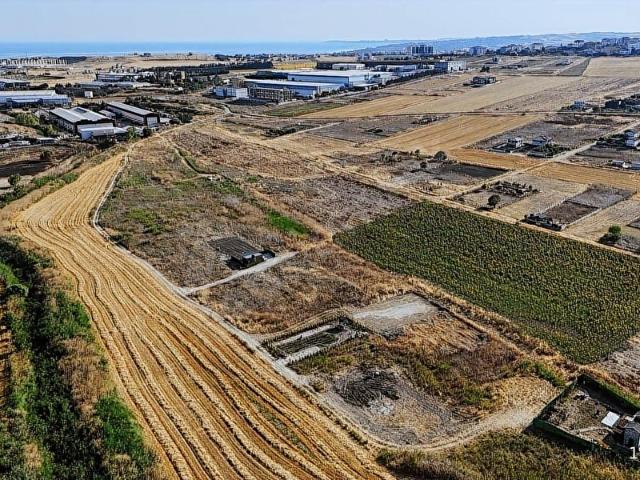 ÇAM AĞAÇLARI İLE ÇEVRİLİ SU KUYUSU AÇILMIŞ 500m2 İMARLI ARSA