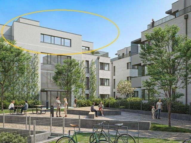 AM FLIEGENSPITZ Penthouse Wohnung | 4 Zimmer mit Rundum Terrasse | Modern & Nachhaltig | Provisionsfrei!