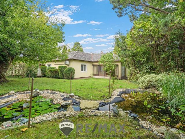 Am Fuße des Bisamberg – Ihr Bungalow mit Extra Platz