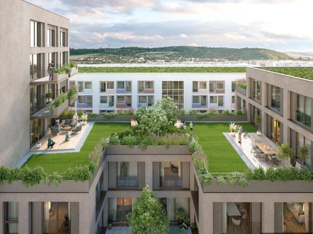 Am Grünmarkt I Neubauprojekt I Linz Urfahr