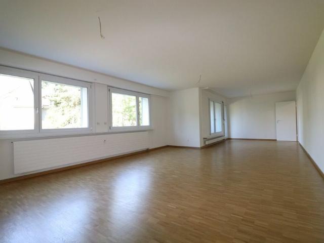 Am Lindenplatz frisch renovierte, grosszügige 4 Zimmer Wohnung im 1.OG
