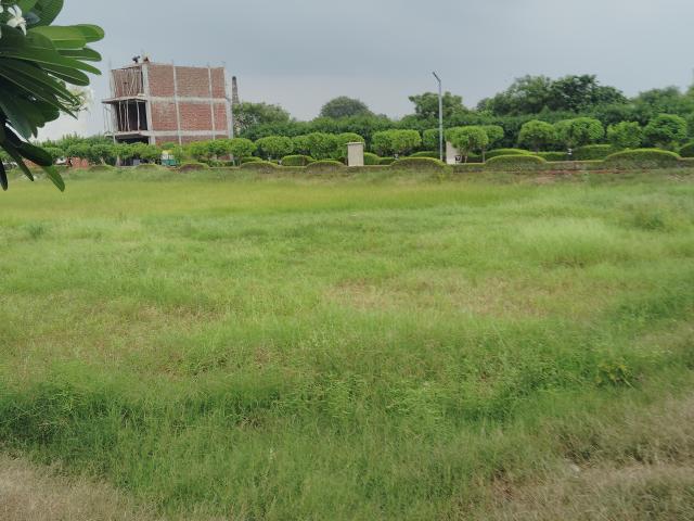 Amolik Aster Woods 1134 Sq. Ft. Plot in Sector 98 Faridabad Listing ID: #10081