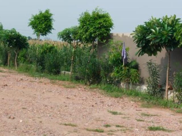 Amolik Aster Woods 177 Sq. Yd. Plot in Sector 98 Faridabad Listing ID: #10098