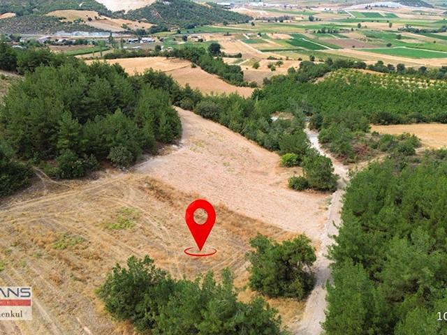 ÇAMÖNÜ MAHALLESİNDE 1850 M2 TEK TAPU FIRSAT TARLA