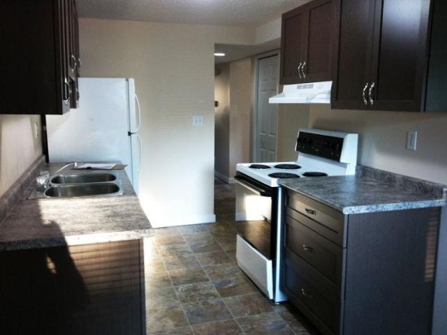 Amazing Find in Red Deer! 3 Bedrooms, 1 Bath!