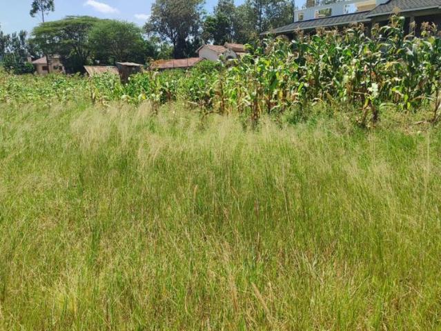 Amazing half acre prime land for sale