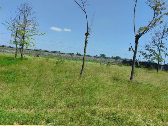 Amazing half acre prime land for sale