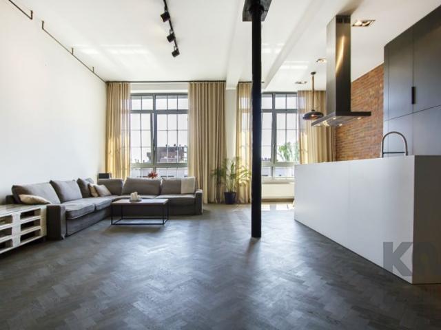 Amazing loft apartment for rent in Lodz, Tylna