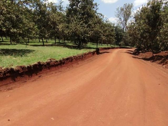 Amazing prime land for sale