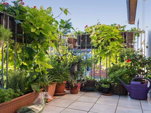 Amazing & quiet apartment in Prenzlauer Berg, Berlin, Berlin Amsterdam Apartments for Rent