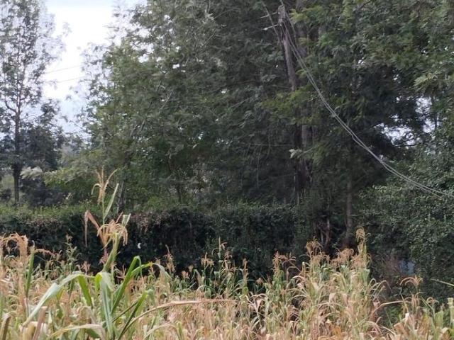 Amazing 1/4 acre red soil prime land for sale