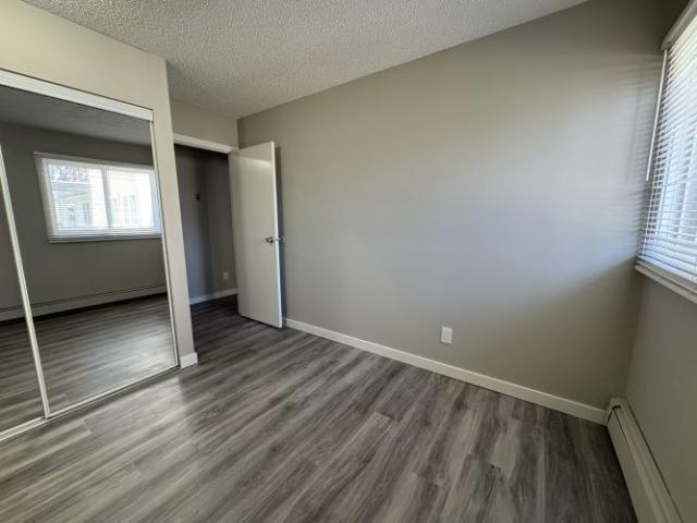 Amazing 2 Bedroom Apartment on Quiet Close!