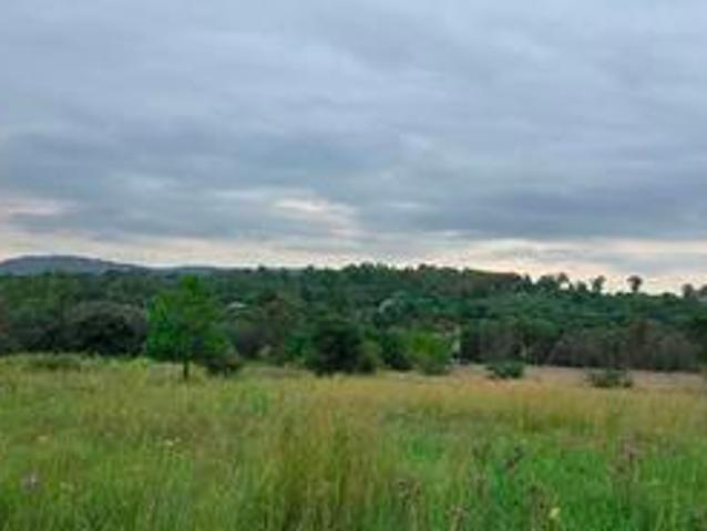 amazing 2 ha land in between neighbo.