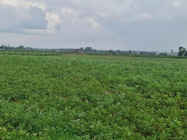 Amazing 35 Acres prime land for sale