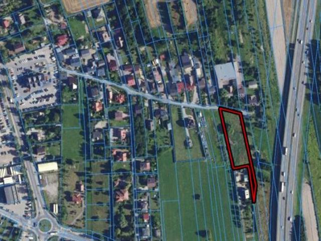 Amazonek 3 000 m², Kraków