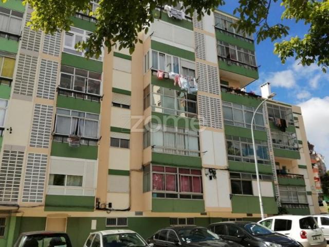 Amadora Amadora 102004416