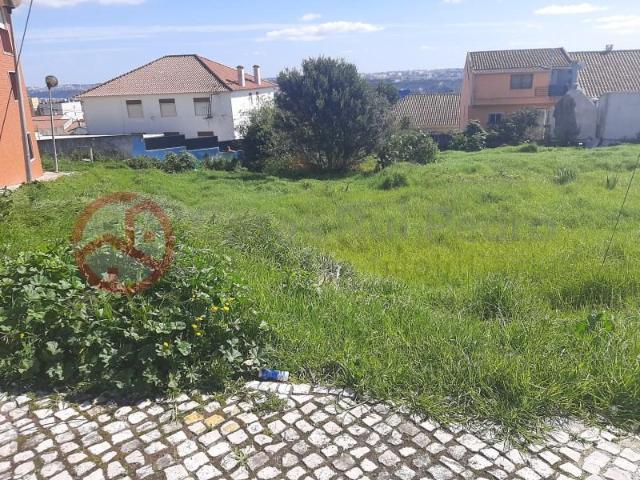 Amadora Amadora 102587020