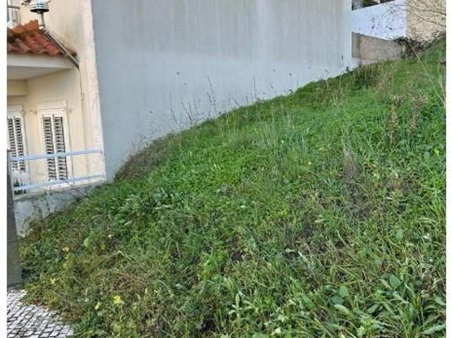 Amadora Amadora 102958557