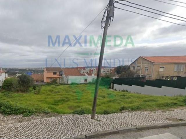 Amadora Amadora 103578141