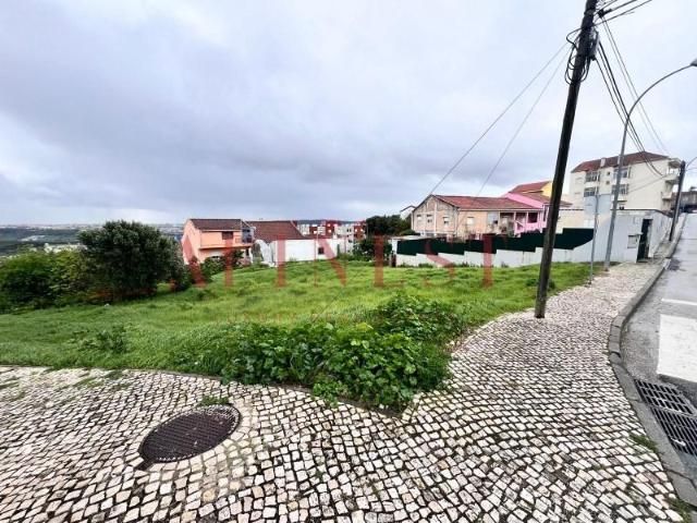 Amadora Amadora 2650 413 100618213