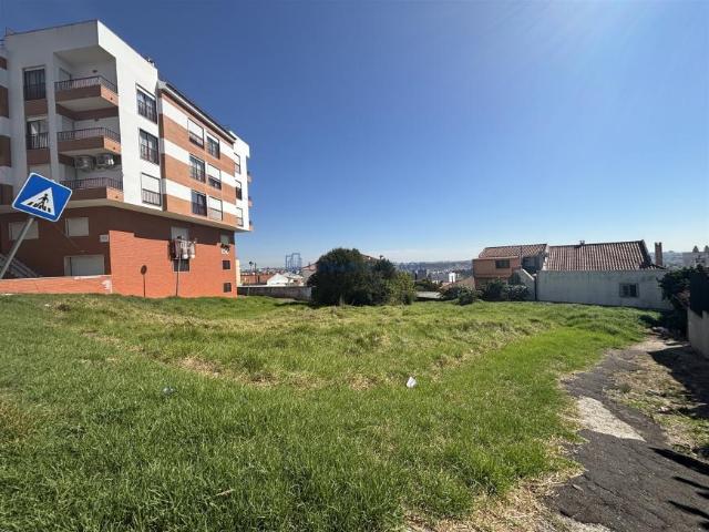 Amadora Amadora 2650 102731377