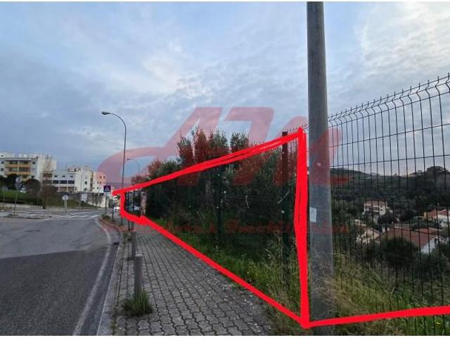 Amadora Amadora 87697470