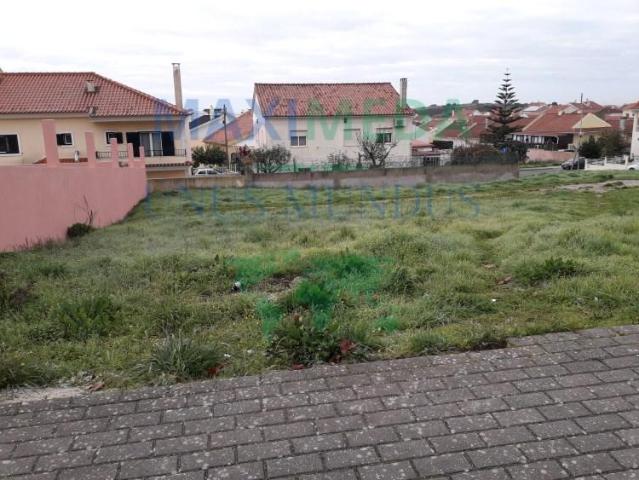Amadora Amadora 93550005