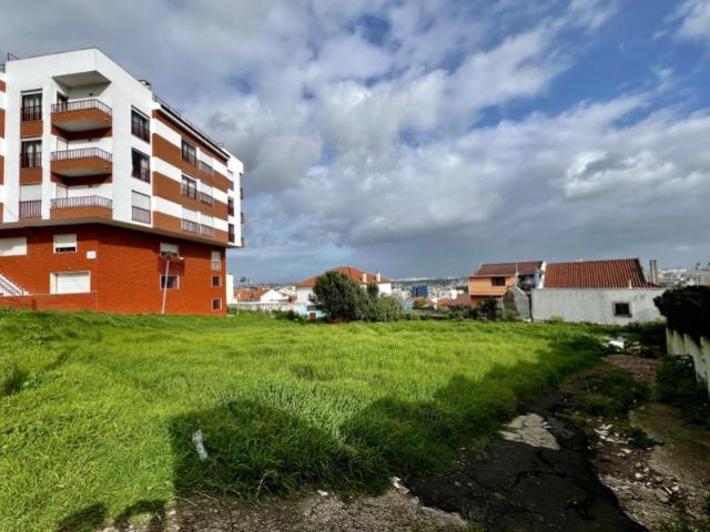 Amadora Amadora 96237247