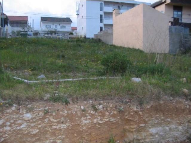 Amadora Amadora 97121930