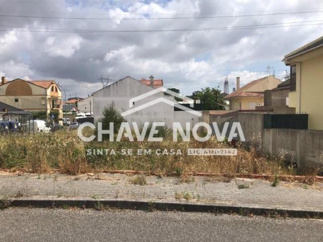 Amadora Amadora 97123464