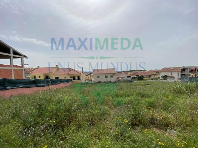 Amadora Amadora 99179073