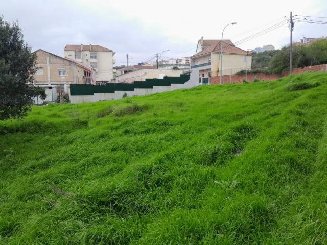 Amadora Amadora 99310908