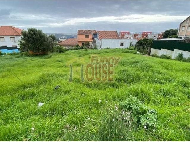 Amadora Amadora LS99919220