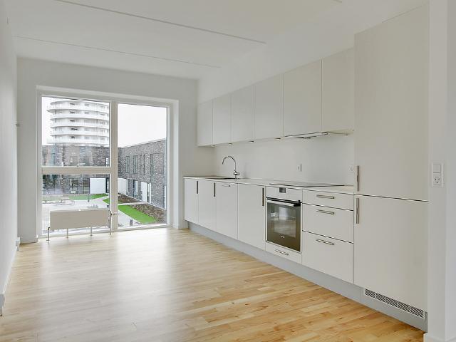 Amager Strandpark Ask