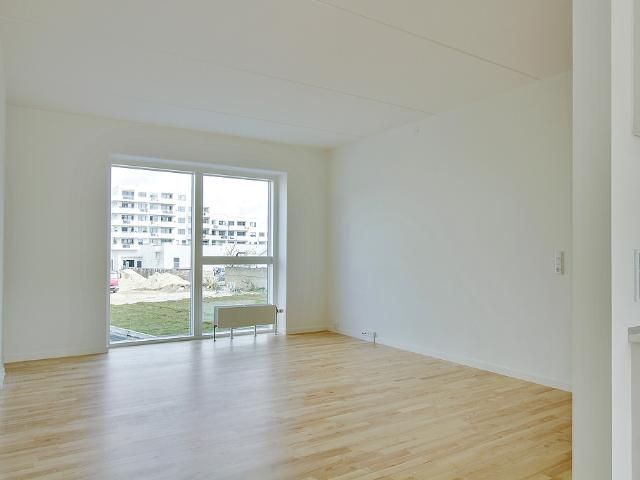 Amager Strandpark Ask