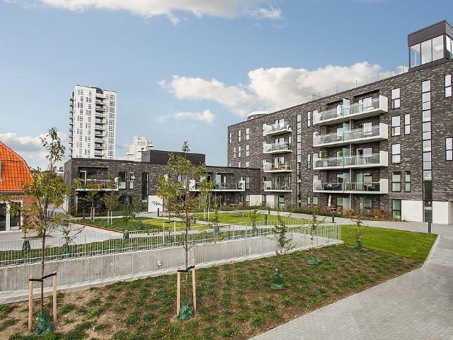 Amager Strandpark Ask