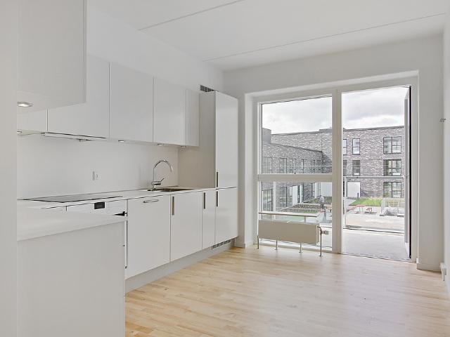 Amager Strandpark Ask