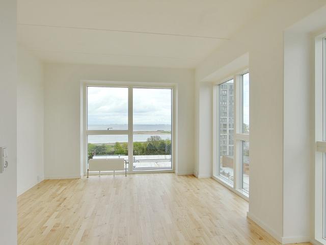 Amager Strandpark Birk m.fl