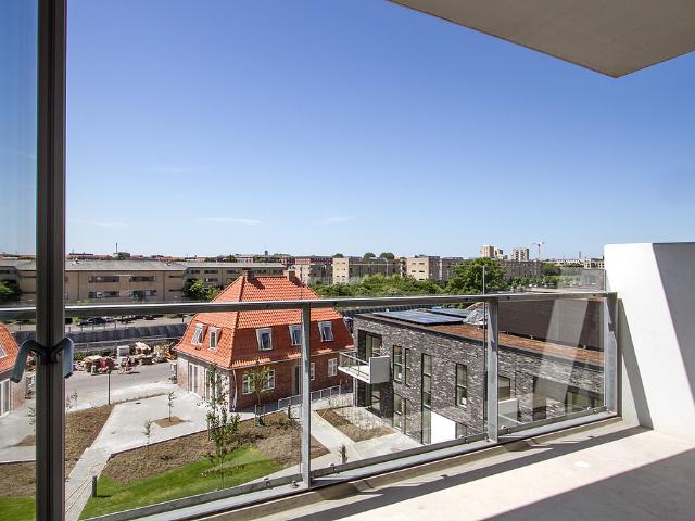 Amager Strandpark Birk m.fl