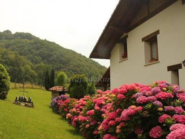 Amaiur Landetxea