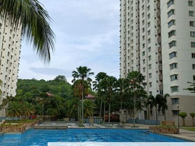 Aman Heights