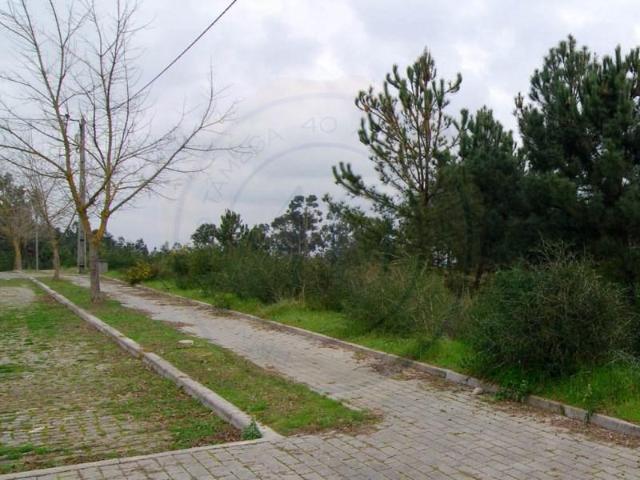 Amarante Amarante 101572912