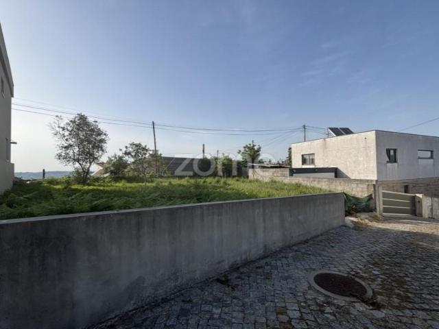 Amarante Amarante 102558450