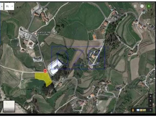 Amarante Amarante 104124141